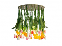 Flower power tulip round