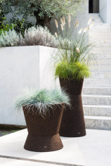 Bush on 002