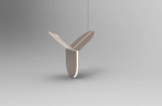 Fly