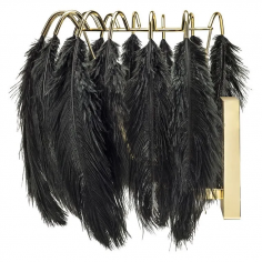 Feather