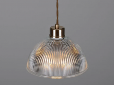 Boston industrial holophane pendant