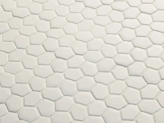 Botanica seed white matt