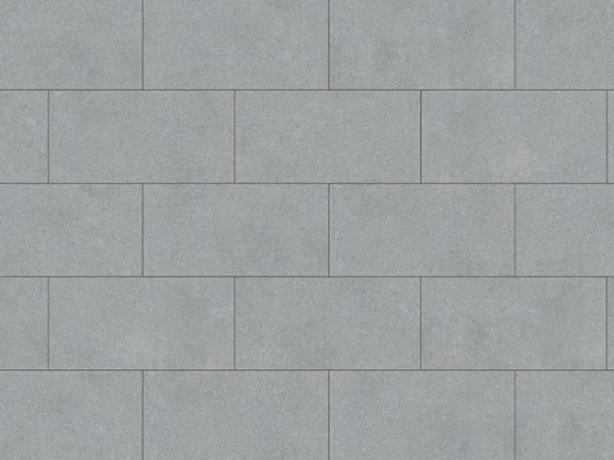 Granito diorite