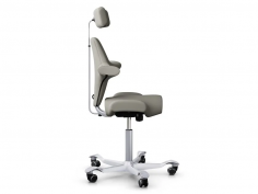 Capisco 8107