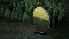 Se