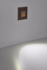 Ryu