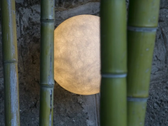 A.moon out