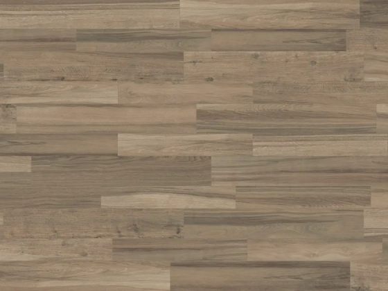 Axis oak