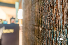 Bark house® poplar bark wall panels