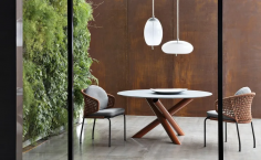 Van dyck outdoor