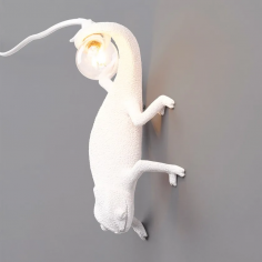 Chameleon going down
