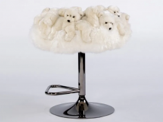 Fluffy polar