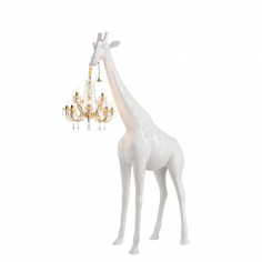Giraffe in love m indoor