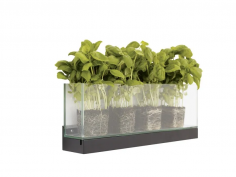 Front plant