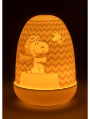 Snoopy™ dome