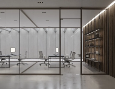 Glass partition