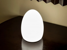 Egg