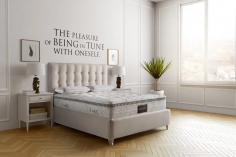 Armonia memoform dual 12
