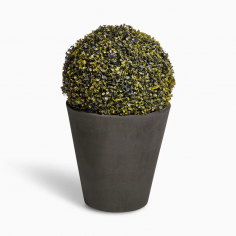 New pot moleskin