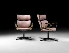 Asia swivel
