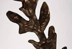 Oak