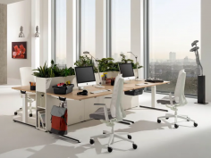 Winea startup 2.0