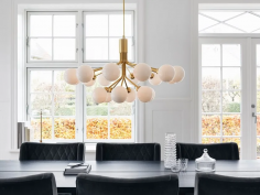 Apiales 18 brushed brass