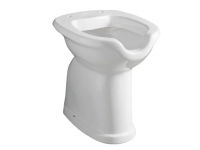 Toilet for disabled
