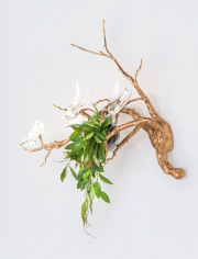 Voa magical sprig & nest small