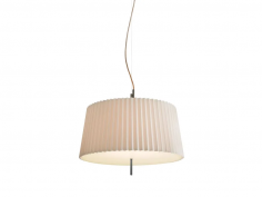 Fliegenbein hl