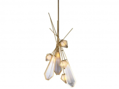 Harlow dried flowers