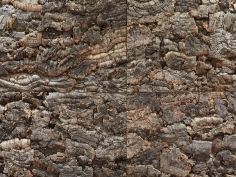 Cork bark wall panels