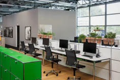 World of plants for usm haller