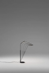 Spoon