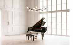 Steinway haara