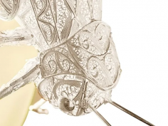 Filigree cricket