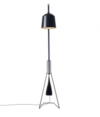 A floor lamp