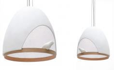 Oiseau xl