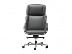 Suoni executive