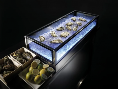 Icebox
