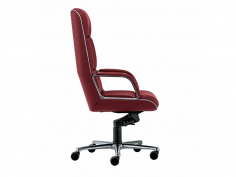 Kiruna executive