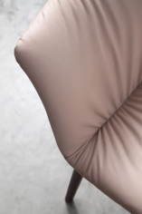 Felix
