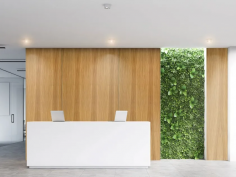 Natural woods vmt