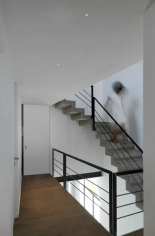 Genius