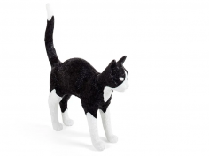 Jobby the cat