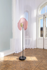 Anthurium