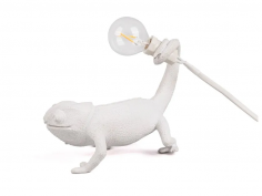 Chameleon still