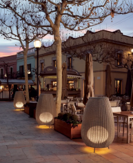 Amphora