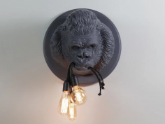 Ugo rilla