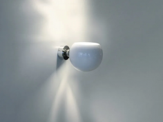 White moons 1